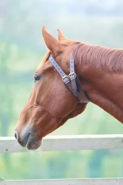 Anti-Crib Collar^Shires Equestrian Hot