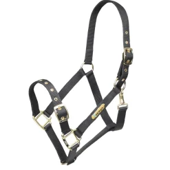 ARMA Adjustable Headcollar^Shires Equestrian Outlet