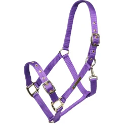 ARMA Adjustable Headcollar^Shires Equestrian Outlet