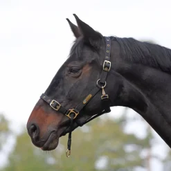 ARMA Control Headcollar^Shires Equestrian Hot