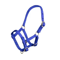 ARMA Foal Headcollar^Shires Equestrian Clearance