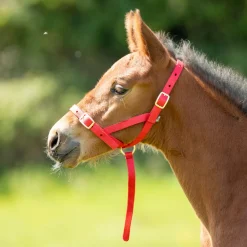 ARMA Foal Slip^Shires Equestrian Clearance