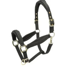 ARMA Padded Headcollar^Shires Equestrian Sale