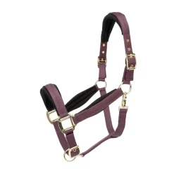 ARMA Padded Headcollar^Shires Equestrian Sale