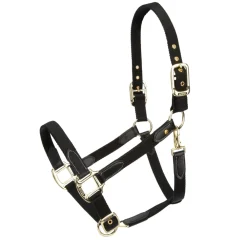ARMA Porto Headcollar^Shires Equestrian Best