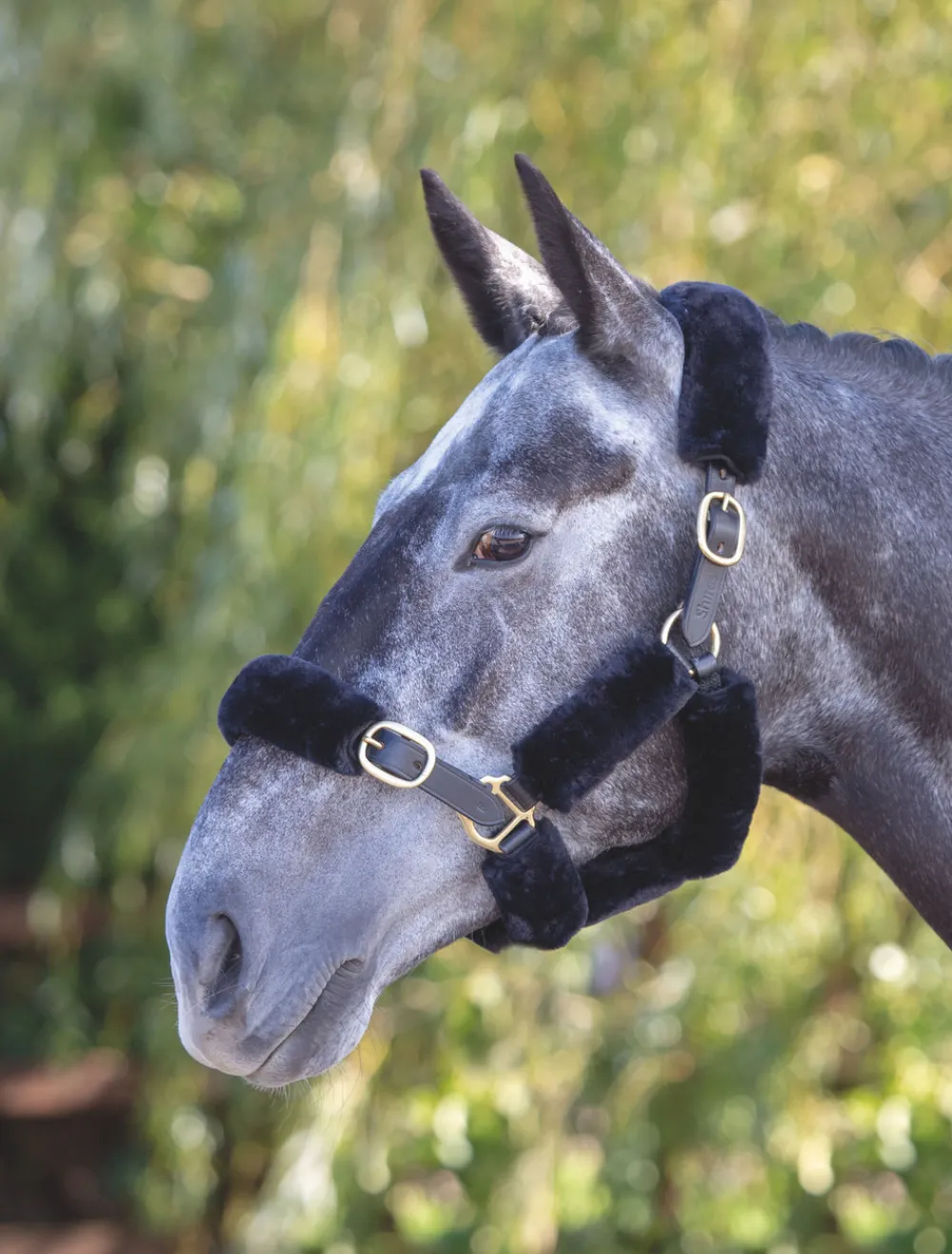 ARMA SupaFleece Halter Fleeces^Shires Equestrian Online