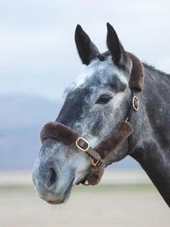 ARMA SupaFleece Halter Fleeces^Shires Equestrian Online