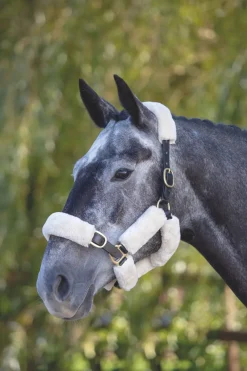 ARMA SupaFleece Halter Fleeces^Shires Equestrian Online