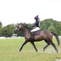 Aubrion Hyde Park Saddlecloth - Young Rider^Shires Equestrian Sale