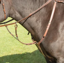 Avignon Breastplate^Shires Equestrian Discount