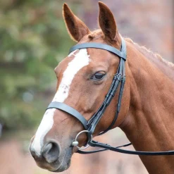 Avignon Hunter Cavesson Bridle^Shires Equestrian New