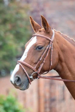 Avignon Padded Raised Flash Bridle^Shires Equestrian