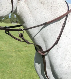 Avignon Running Martingale^Shires Equestrian