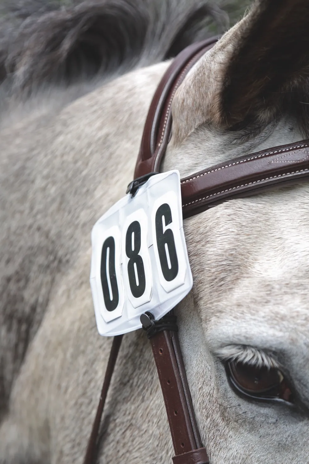 Competition Number Kit^Shires Equestrian Online