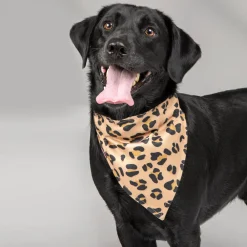 Digby & Fox Bandana^Shires Equestrian Outlet