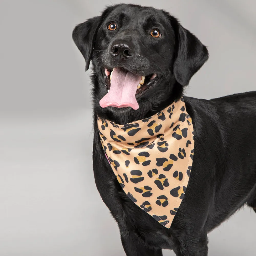 Digby & Fox Bandana^Shires Equestrian Outlet