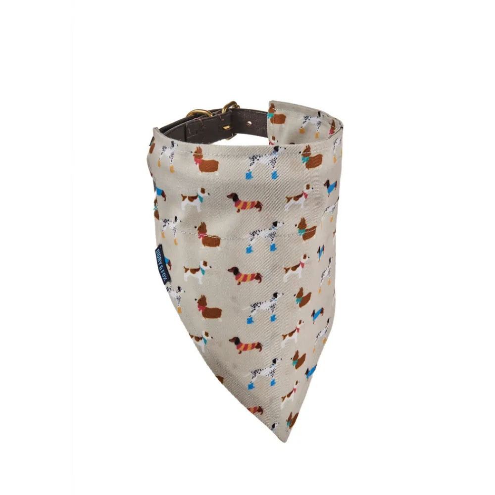 Digby & Fox Bandana^Shires Equestrian Outlet