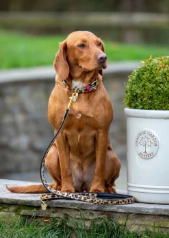 Digby & Fox Cow Hair Dog Collar^Shires Equestrian Clearance