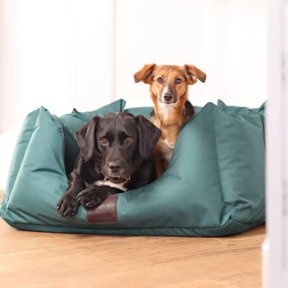 Digby & Fox Nest Dog Bed^Shires Equestrian Online