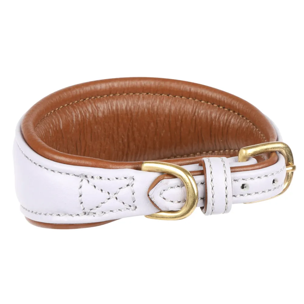 Digby & Fox Padded Greyhound Collar^Shires Equestrian Clearance
