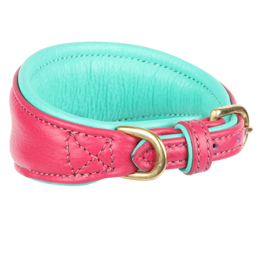 Digby & Fox Padded Greyhound Collar^Shires Equestrian Clearance