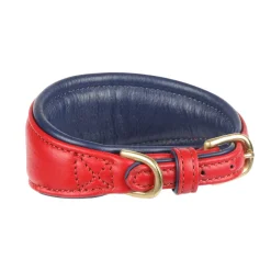 Digby & Fox Padded Greyhound Collar^Shires Equestrian Clearance