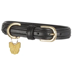 Digby & Fox Padded Leather Dog Collar^Shires Equestrian
