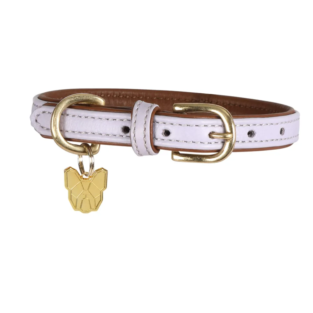 Digby & Fox Padded Leather Dog Collar^Shires Equestrian