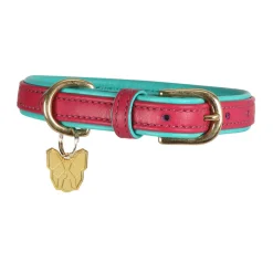 Digby & Fox Padded Leather Dog Collar^Shires Equestrian