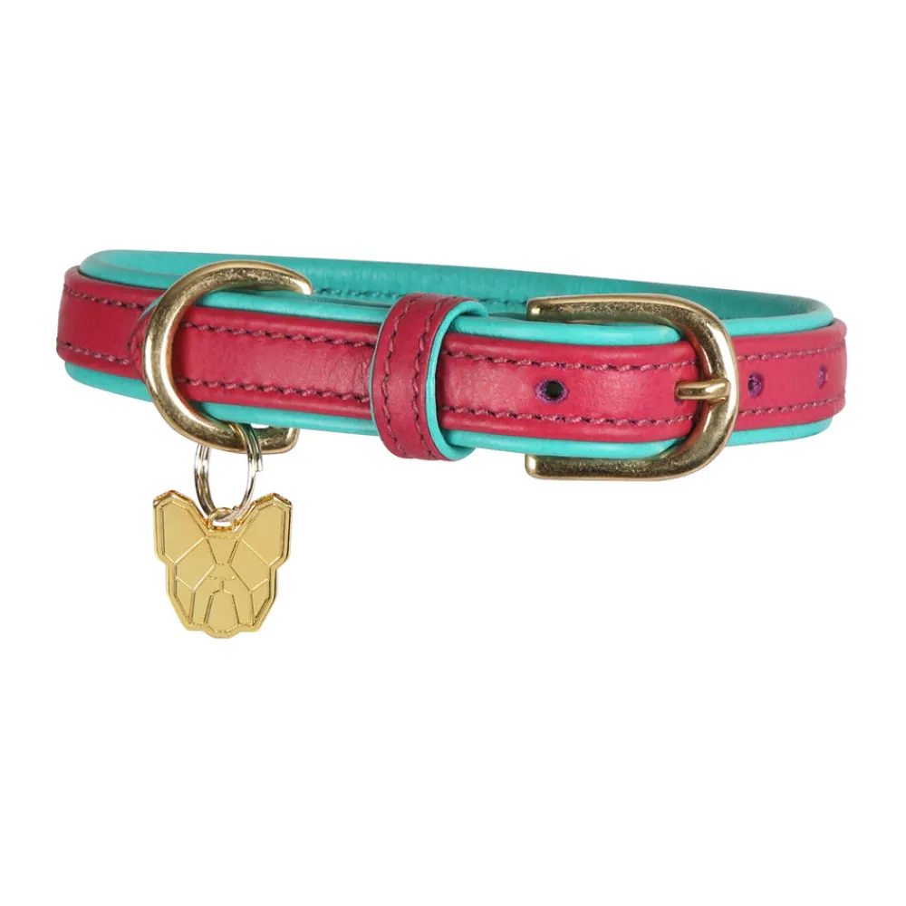 Digby & Fox Padded Leather Dog Collar^Shires Equestrian