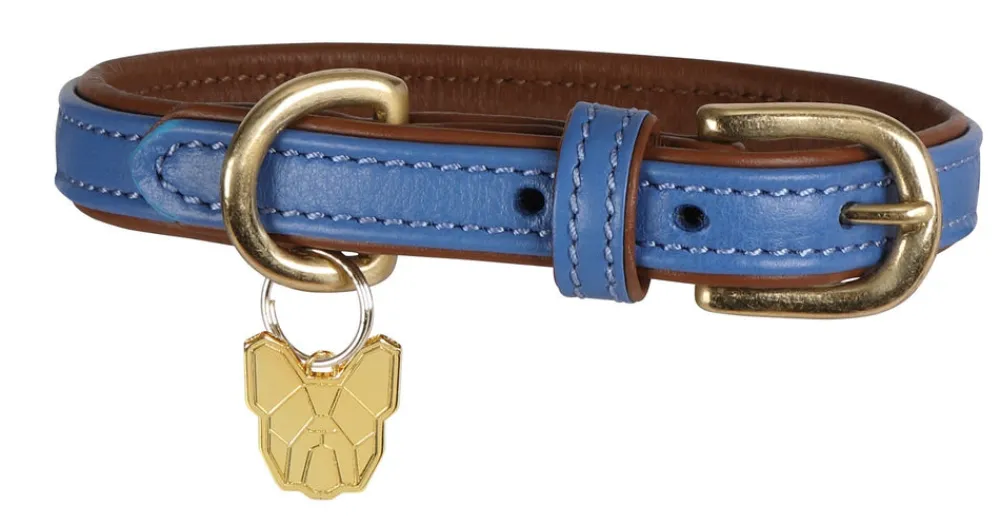 Digby & Fox Padded Leather Dog Collar^Shires Equestrian