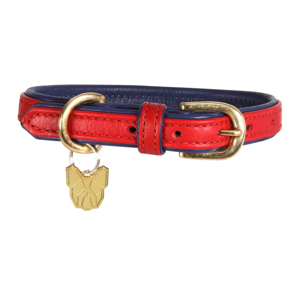Digby & Fox Padded Leather Dog Collar^Shires Equestrian