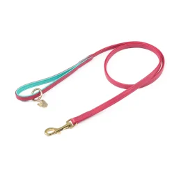 Digby & Fox Padded Leather Dog Lead^Shires Equestrian Hot