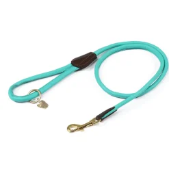 Digby & Fox Rolled Leather Dog Lead^Shires Equestrian Online