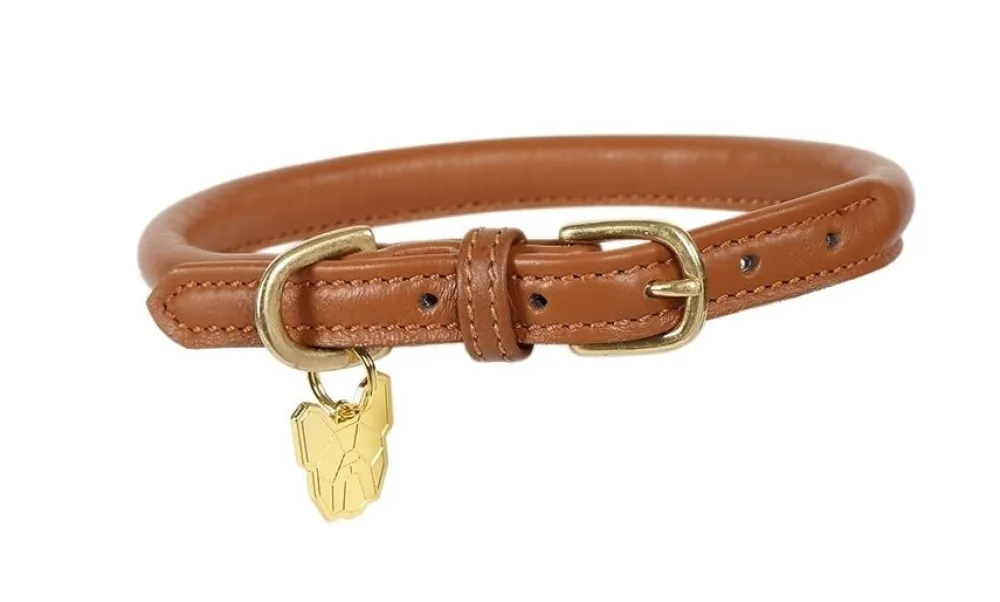 Digby & Fox Rolled Leather Dog Collar^Shires Equestrian Outlet