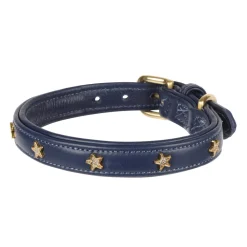 Digby & Fox Star Dog Collar^Shires Equestrian Outlet