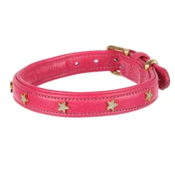 Digby & Fox Star Dog Collar^Shires Equestrian Outlet