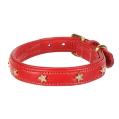 Digby & Fox Star Dog Collar^Shires Equestrian Outlet