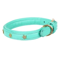 Digby & Fox Star Dog Collar^Shires Equestrian Outlet