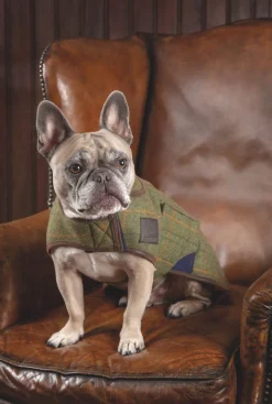 Digby & Fox Tweed Dog Coat^Shires Equestrian New