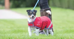 Digby & Fox Waterproof Dog Coat^Shires Equestrian Hot