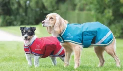 Digby & Fox Waterproof Dog Coat^Shires Equestrian Hot