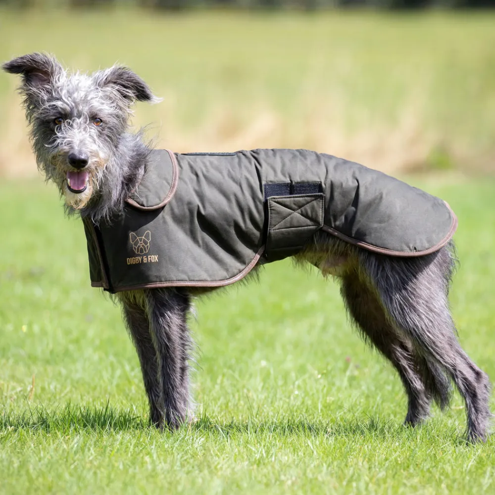 Digby & Fox Wax Greyhound Coat^Shires Equestrian Online