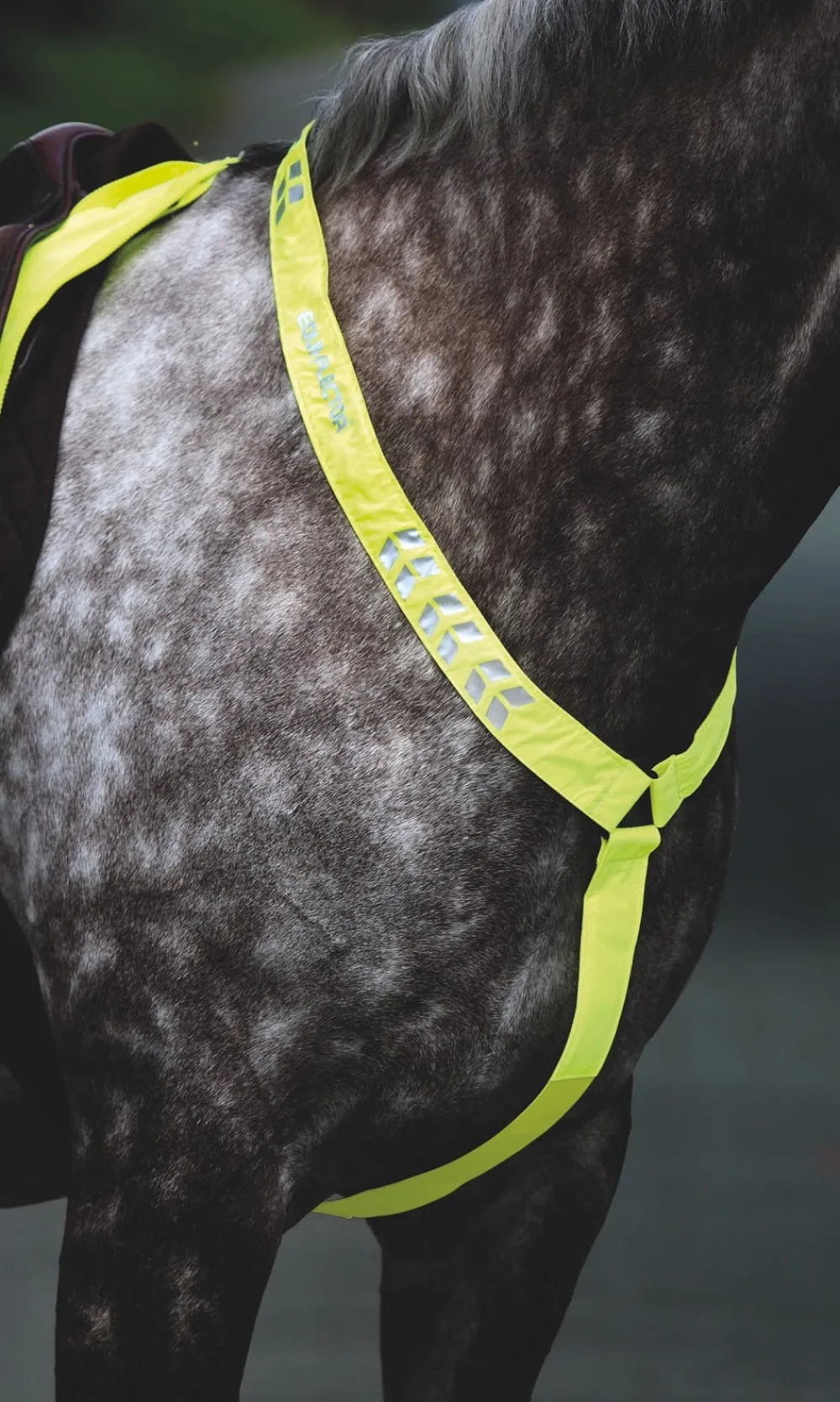 EQUI-FLECTOR® Breastplate^Shires Equestrian Sale