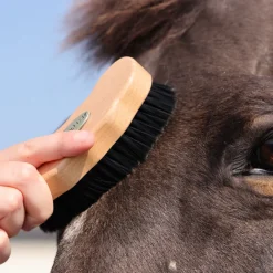 EZI-GROOM Premium Face Brush^Shires Equestrian Hot