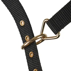 Fleece Lined Lunge Cavesson^Shires Equestrian Online