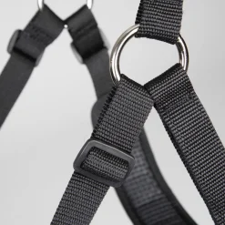 FreeGraze Comfort Grazing Muzzle^Shires Equestrian New