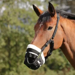 FreeGraze Deluxe Comfort Grazing Muzzle^Shires Equestrian Outlet
