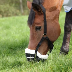 FreeGraze Deluxe Comfort Grazing Muzzle^Shires Equestrian Outlet