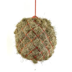 Haynet^Shires Equestrian New